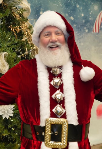 Gallery photo 9 of Santa Skip