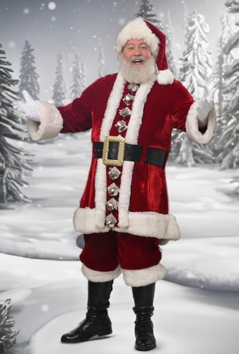 Gallery photo 10 of Santa Skip