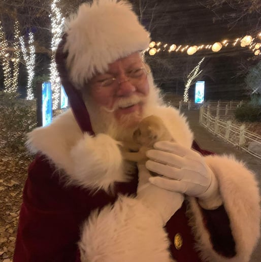 Gallery photo 2 of Santa Skip