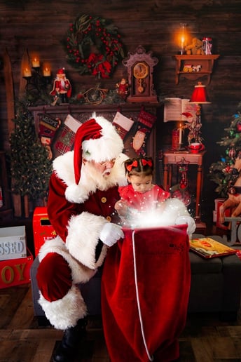 Gallery photo 4 of Santa Skip