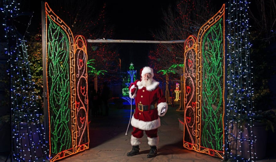 Gallery photo 5 of Santa Skip