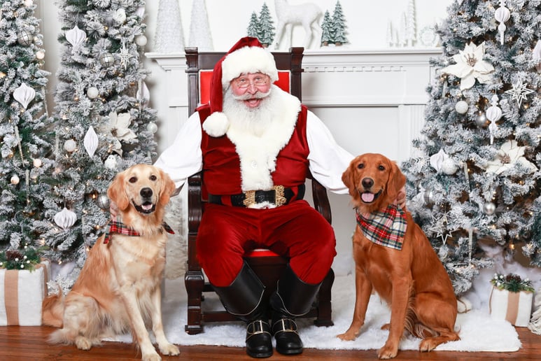 Gallery photo 22 of Santa Smith & Minty the Elf