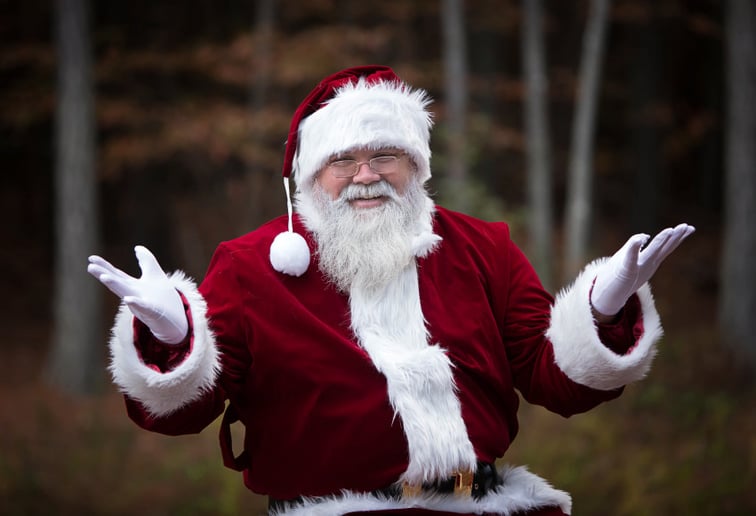 Gallery photo 8 of Santa Michael