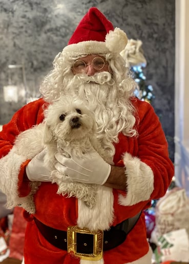 Gallery photo 4 of Santa SoCal