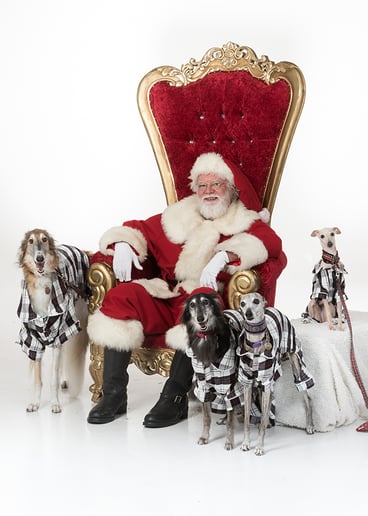 Gallery photo 9 of Santa South Florida / Santa Johnny Mack