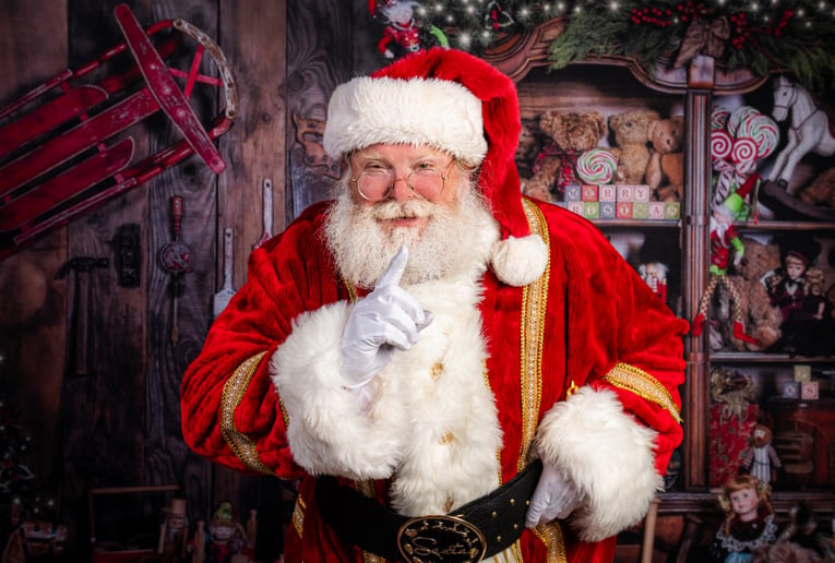 Gallery photo 6 of Santa Steve