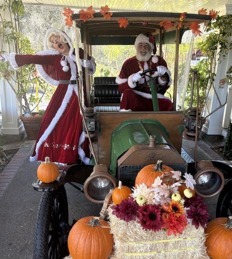 Gallery photo 8 of Santa Steve and Helpers