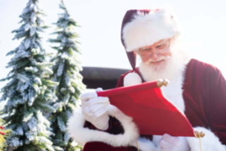 Gallery photo 1 of Santa Steve Claus