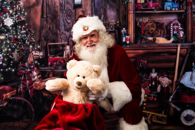 Gallery photo 4 of Santa Steve Claus