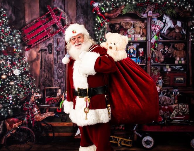 Gallery photo 5 of Santa Steve Claus