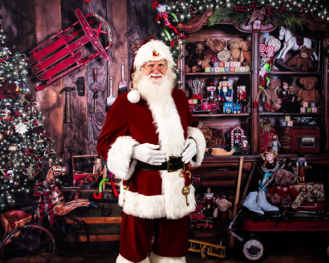 Gallery photo 8 of Santa Steve Claus