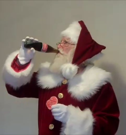 Gallery photo 4 of Santa Steve Florida