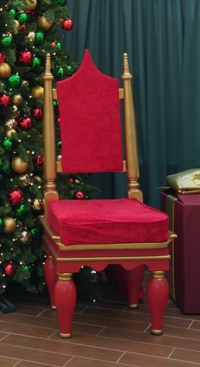 Gallery photo 5 of Santa Steve Florida