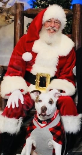 Gallery photo 1 of Santa Steve