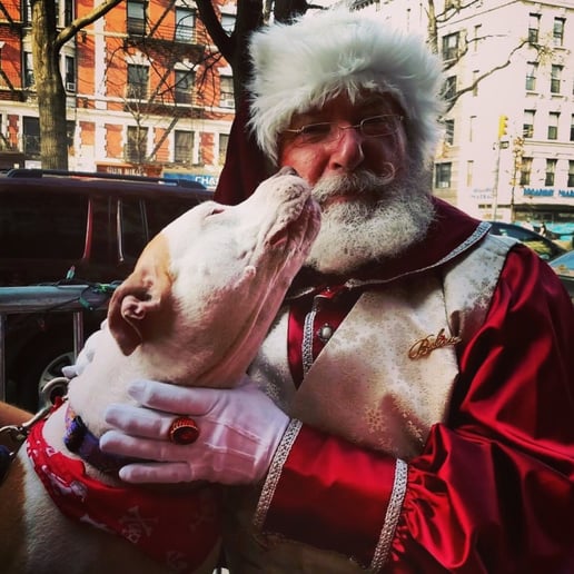 Gallery photo 9 of Santa Steve