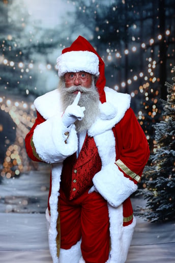 Gallery photo 9 of Santa Steve