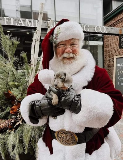 Gallery photo 1 of Santa SteveO