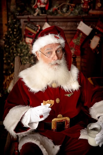 Gallery photo 6 of Santa StevieBaby
