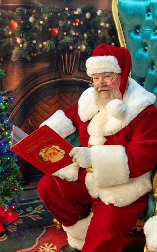Gallery photo 4 of Santa Strickland