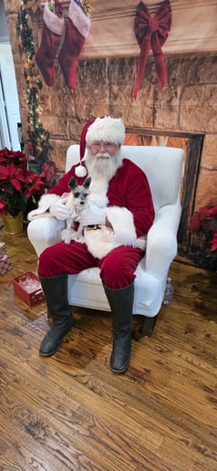 Gallery photo 4 of Cowboy Santa