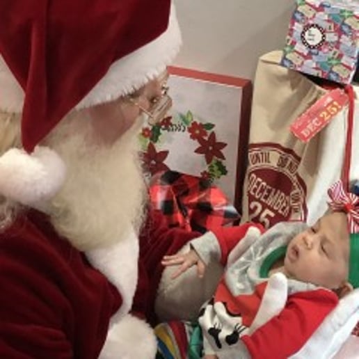 Gallery photo 8 of Santa Sunrider