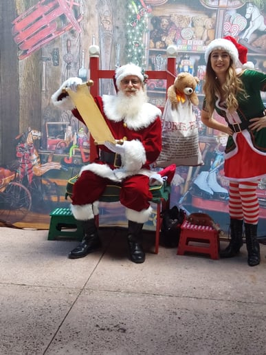 Gallery photo 4 of Santa Sunrider