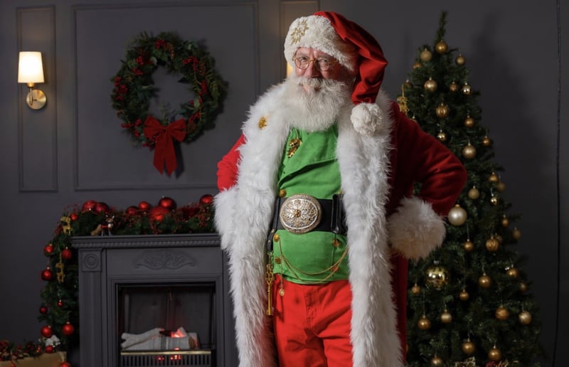 Gallery photo 9 of Santa Swing