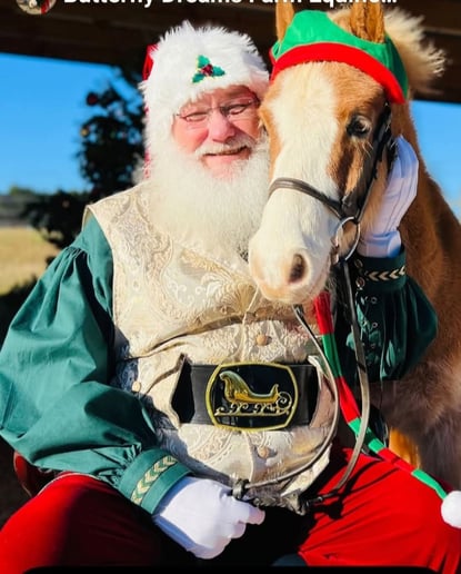 Gallery photo 3 of Santa T