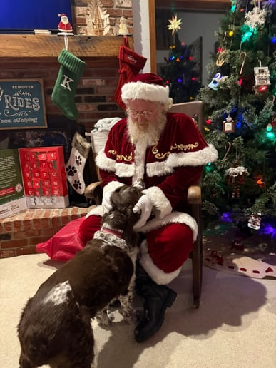 Gallery photo 4 of Santa Tag
