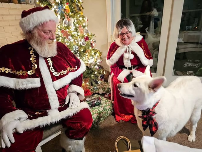 Gallery photo 8 of Santa Tag