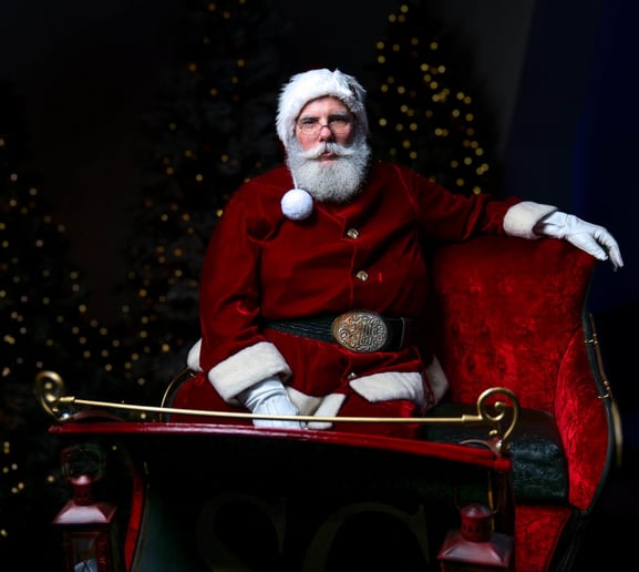 Gallery photo 4 of Santa Ted B