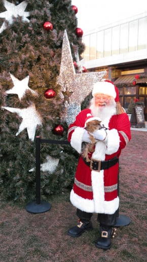 Gallery photo 5 of Santa Ted
