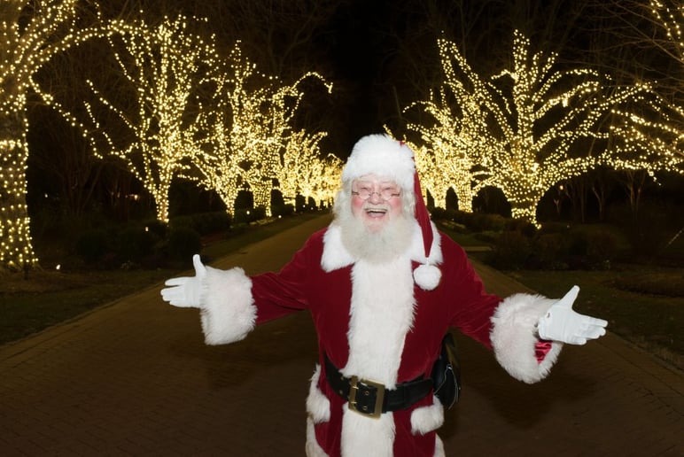 Gallery photo 6 of Santa Ted