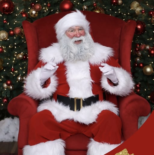 Gallery photo 1 of Santa Teddy