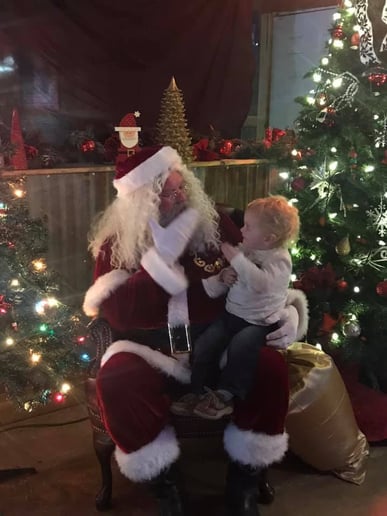 Gallery photo 1 of Santa Terry