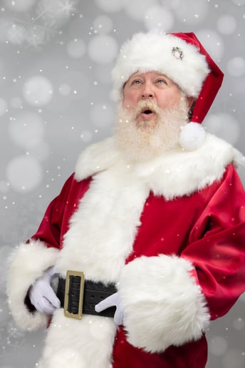 Gallery photo 7 of Santa Tim