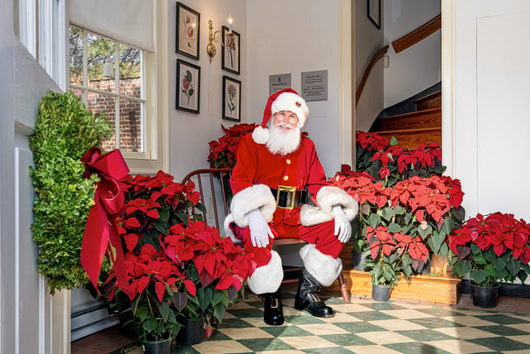 Gallery photo 7 of Santa Tim