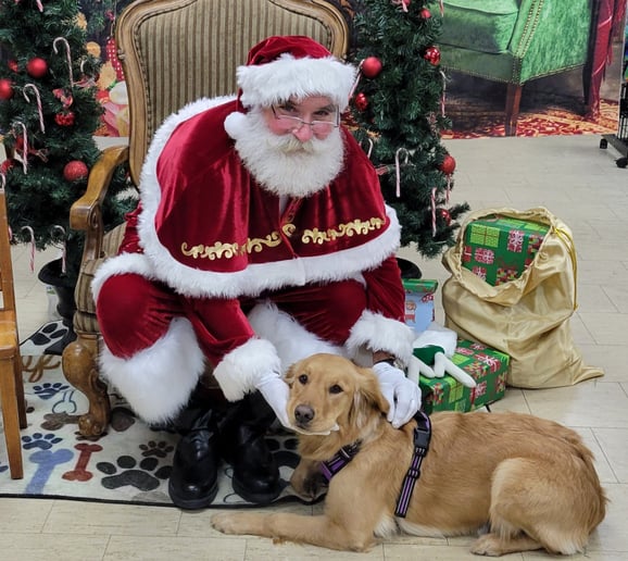 Gallery photo 7 of Santa Tim