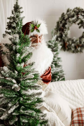 Gallery photo 1 of Santa Tim