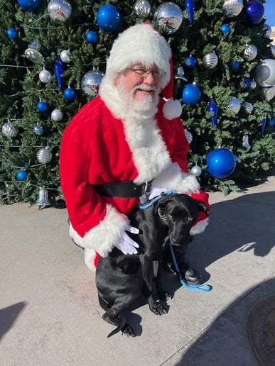 Gallery photo 7 of Santa Tim
