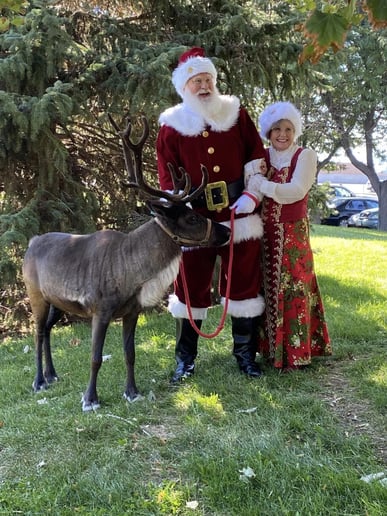 Gallery photo 6 of Santa Time