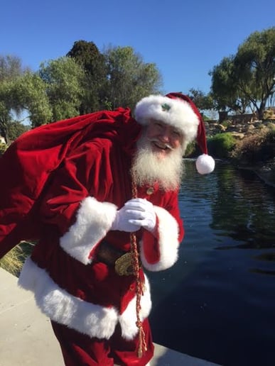 Gallery photo 6 of Santa Timm