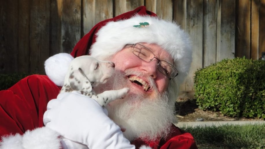 Gallery photo 7 of Santa Timm