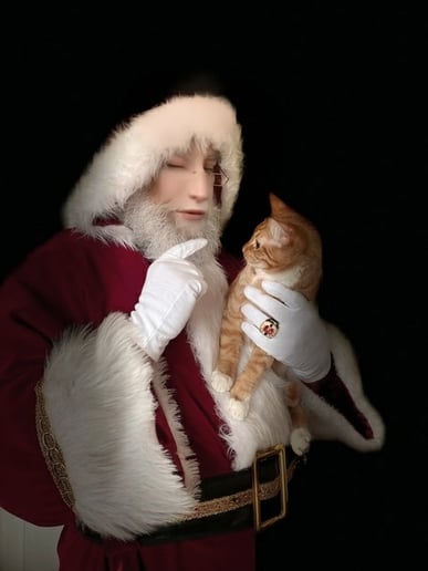Gallery photo 3 of Santa Tom