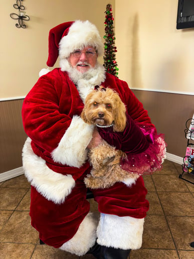 Gallery photo 1 of Santa Tom