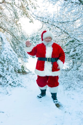 Gallery photo 2 of Santa Tom