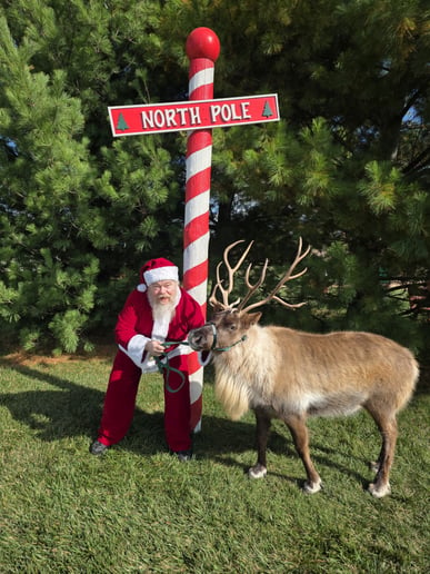 Gallery photo 1 of Santa Tom