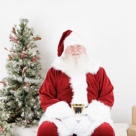 Gallery photo 2 of Santa Tom