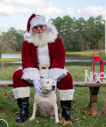 Gallery photo 3 of Santa Tom