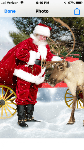 Gallery photo 4 of Santa TomT
